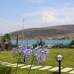 Marin אלאקאטי