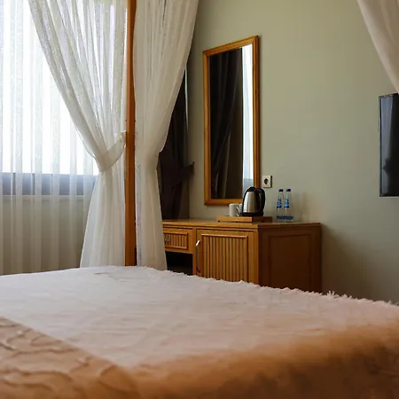 酒店 Marin 阿拉恰特