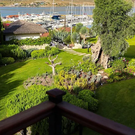 酒店 Marin 阿拉恰特