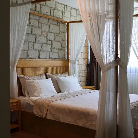 Marin 酒店 阿拉恰特