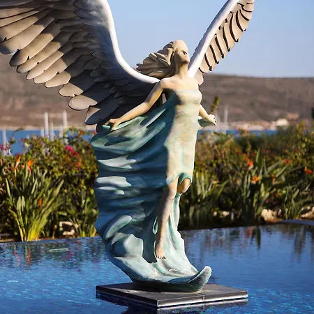 Marin * 阿拉恰特